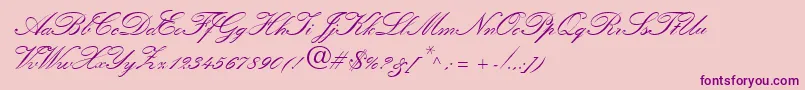QuillScriptSsiBold Font – Purple Fonts on Pink Background