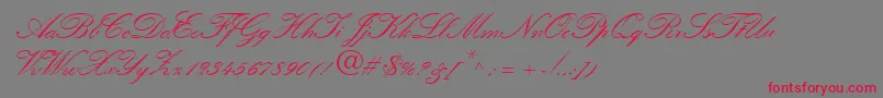QuillScriptSsiBold Font – Red Fonts on Gray Background