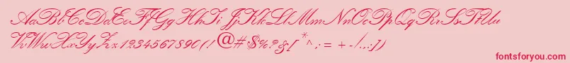 QuillScriptSsiBold-fontti – punaiset fontit vaaleanpunaisella taustalla