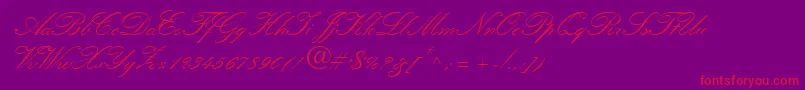 QuillScriptSsiBold-Schriftart – Rote Schriften auf violettem Hintergrund