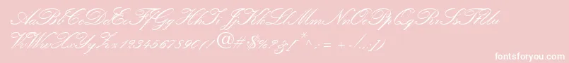 QuillScriptSsiBold Font – White Fonts on Pink Background