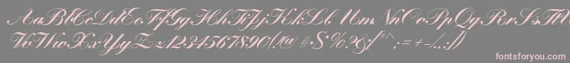 KremlinscriptBold Font – Pink Fonts on Gray Background