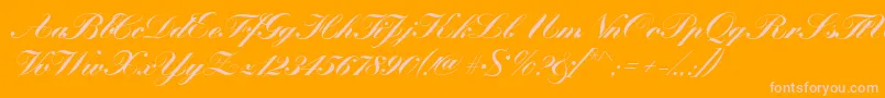 KremlinscriptBold Font – Pink Fonts on Orange Background