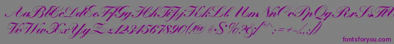 KremlinscriptBold Font – Purple Fonts on Gray Background