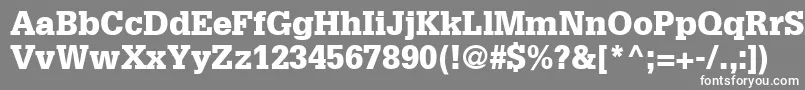 GlyphaLt75Black Font – White Fonts on Gray Background