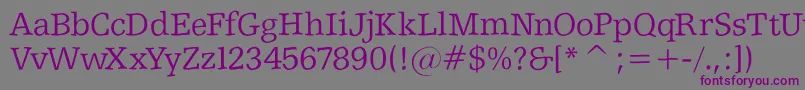 Shakeyslabserif Font – Purple Fonts on Gray Background