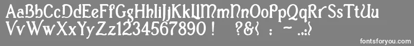 フォントCasuaBold – 灰色の背景に白い文字