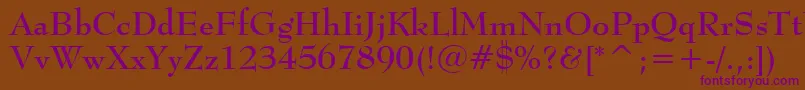 BernhardModernBoldBt Font – Purple Fonts on Brown Background