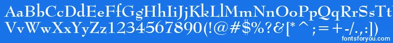 BernhardModernBoldBt Font – White Fonts on Blue Background