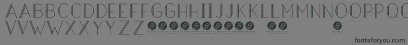 HazeldecolightRegular Font – Black Fonts on Gray Background