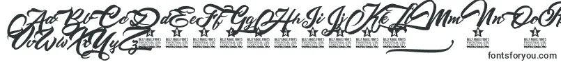 Шрифт Altamontepersonaluse – шрифты для логотипов
