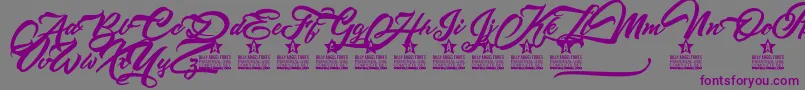 Altamontepersonaluse Font – Purple Fonts on Gray Background