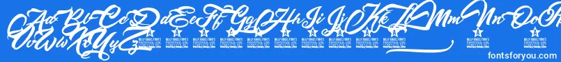 Altamontepersonaluse Font – White Fonts on Blue Background