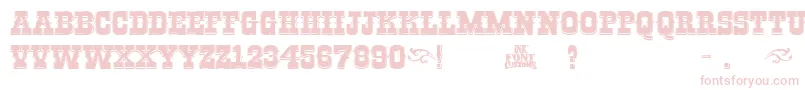Riogrande-Schriftart – Rosa Schriften