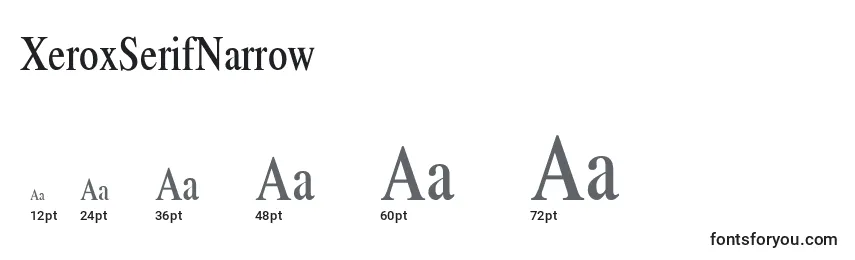 Размеры шрифта XeroxSerifNarrow