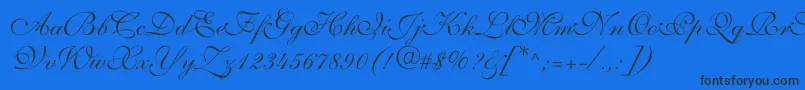 Allegrettoscripttwoc Font – Black Fonts on Blue Background