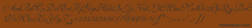 Шрифт Allegrettoscripttwoc – чёрные шрифты на коричневом фоне