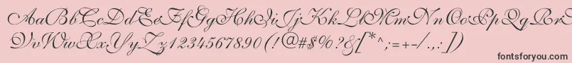 Allegrettoscripttwoc Font – Black Fonts on Pink Background