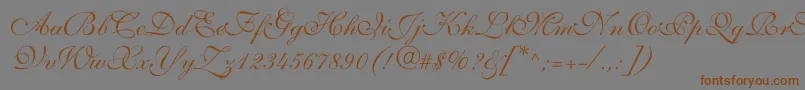 Allegrettoscripttwoc Font – Brown Fonts on Gray Background