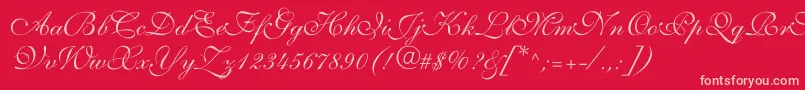 Allegrettoscripttwoc-Schriftart – Rosa Schriften auf rotem Hintergrund