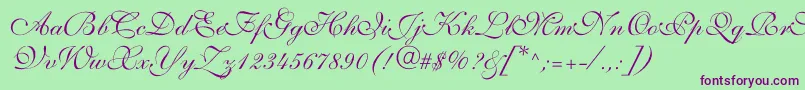 Allegrettoscripttwoc Font – Purple Fonts on Green Background