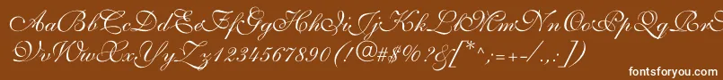 Allegrettoscripttwoc Font – White Fonts on Brown Background