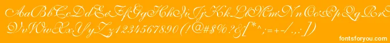 Allegrettoscripttwoc-Schriftart – Weiße Schriften auf orangefarbenem Hintergrund