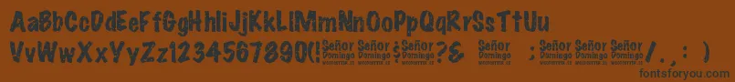 SeРґorDomingo Font – Black Fonts on Brown Background