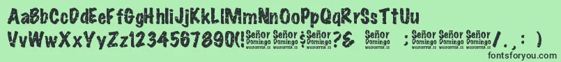 SeРґorDomingo Font – Black Fonts on Green Background