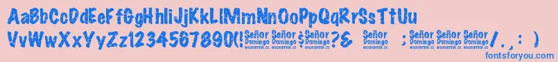 SeРґorDomingo Font – Blue Fonts on Pink Background