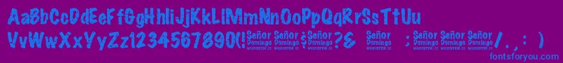 SeРґorDomingo Font – Blue Fonts on Purple Background