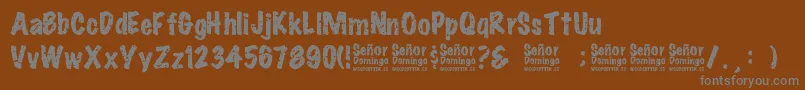 SeРґorDomingo Font – Gray Fonts on Brown Background