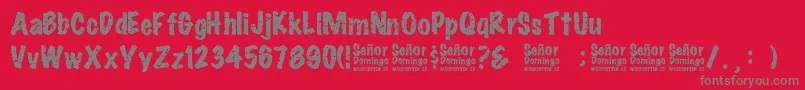 SeРґorDomingo Font – Gray Fonts on Red Background