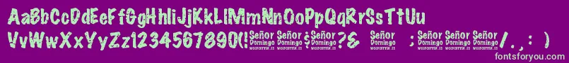 SeРґorDomingo Font – Green Fonts on Purple Background