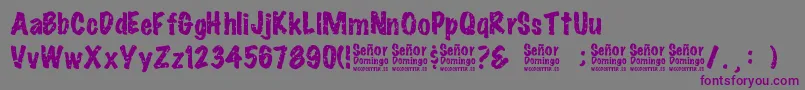 SeРґorDomingo Font – Purple Fonts on Gray Background