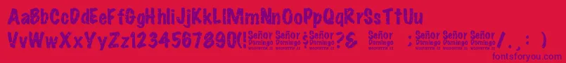 SeРґorDomingo Font – Purple Fonts on Red Background