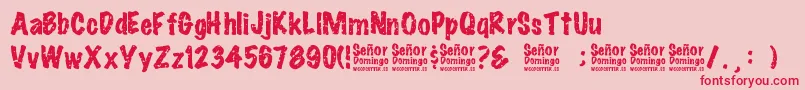 SeРґorDomingo Font – Red Fonts on Pink Background