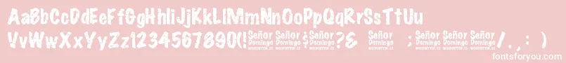 SeРґorDomingo Font – White Fonts on Pink Background