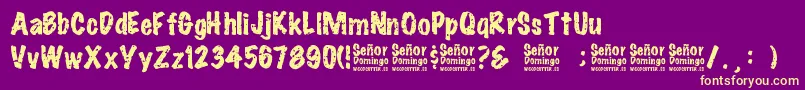 SeРґorDomingo Font – Yellow Fonts on Purple Background