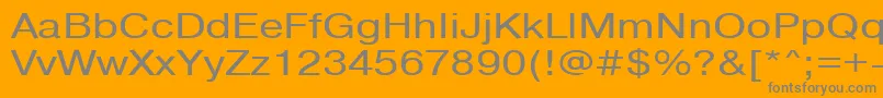 Pragmaticactt120n-Schriftart – Graue Schriften auf orangefarbenem Hintergrund