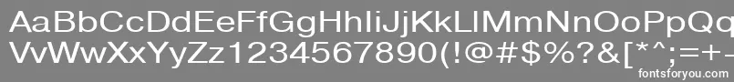 フォントPragmaticactt120n – 灰色の背景に白い文字