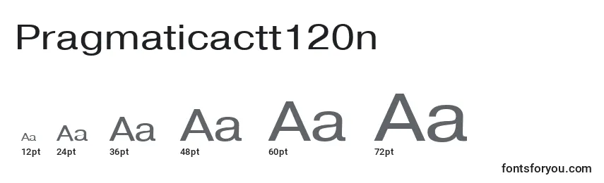 Размеры шрифта Pragmaticactt120n
