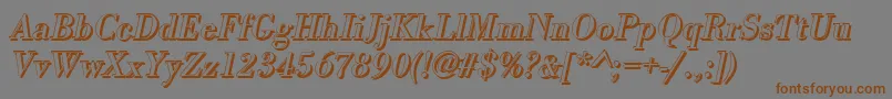 BodonishItalic Font – Brown Fonts on Gray Background