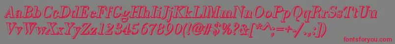 BodonishItalic Font – Red Fonts on Gray Background