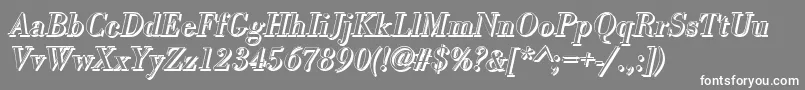 BodonishItalic Font – White Fonts on Gray Background