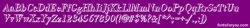 Czcionka BodonishItalic – białe czcionki na fioletowym tle