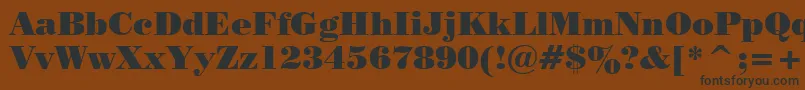 PosterBodoniBt Font – Black Fonts on Brown Background