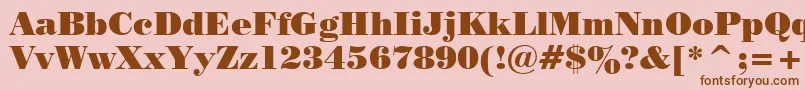 PosterBodoniBt Font – Brown Fonts on Pink Background