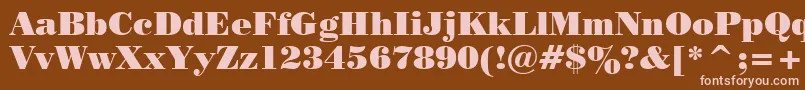 PosterBodoniBt Font – Pink Fonts on Brown Background