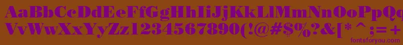 PosterBodoniBt Font – Purple Fonts on Brown Background